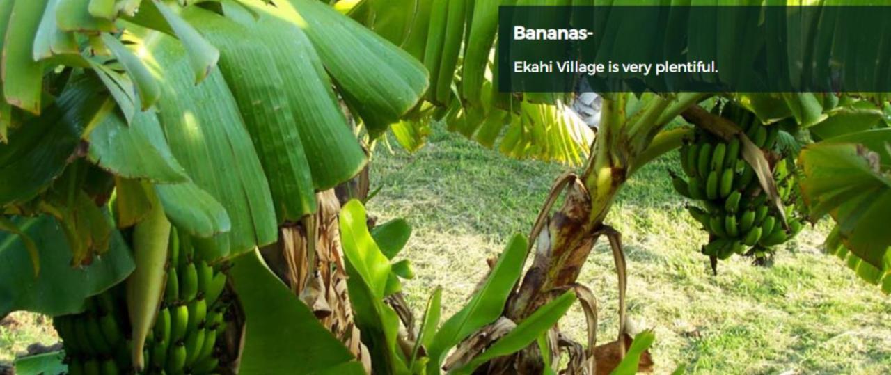 9B Ekahi Village-Studio Bath, Garden View - 1 Minute Stroll To Beach! ไวเลอา ภายนอก รูปภาพ
